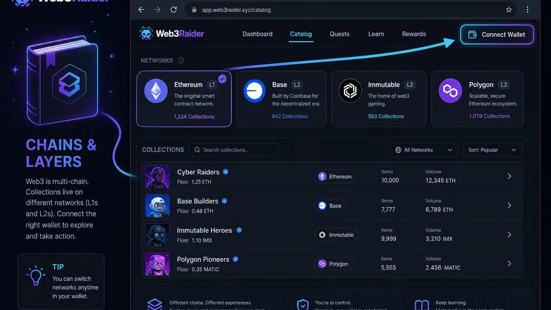 Web3Raider blockchain page and NFT collections with chain badges and network context