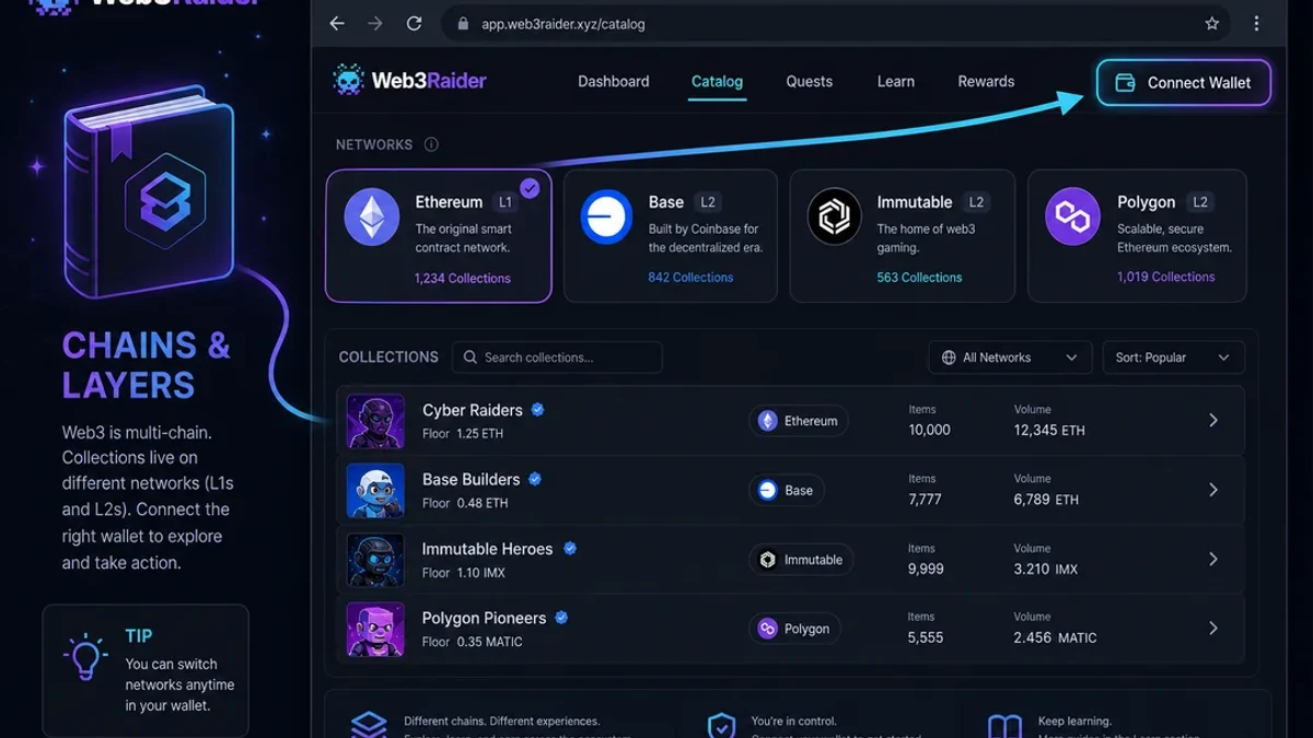 Web3Raider blockchain page and NFT collections with chain badges and network context